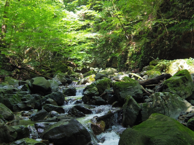 高雄川床