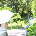 美白効果のある食べ物