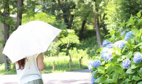 美白効果のある食べ物