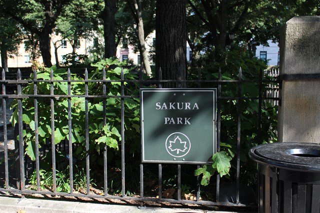 SAKURA PARK